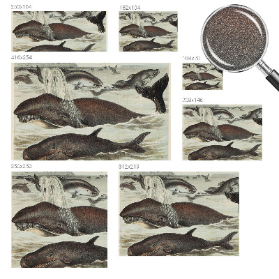 Fototapeta na míru do obýváku Mořští tvorové