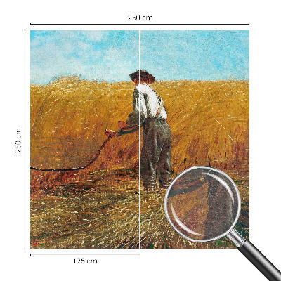 Vliesová fototapeta na zeď Sklizeň na slunci