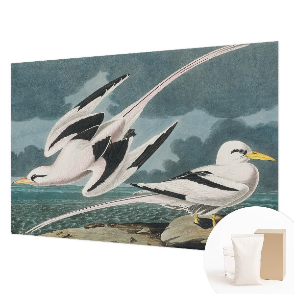 Vliesová fototapeta s potiskem Ptáci u moře