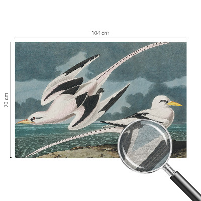 Vliesová fototapeta s potiskem Ptáci u moře