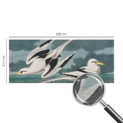 Vliesová fototapeta s potiskem Ptáci u moře