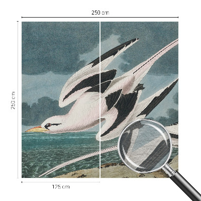 Vliesová fototapeta s potiskem Ptáci u moře