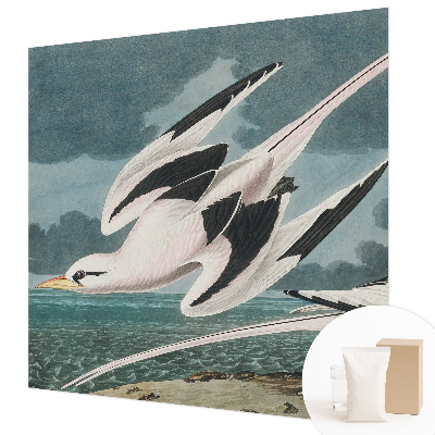 Vliesová fototapeta s potiskem Ptáci u moře