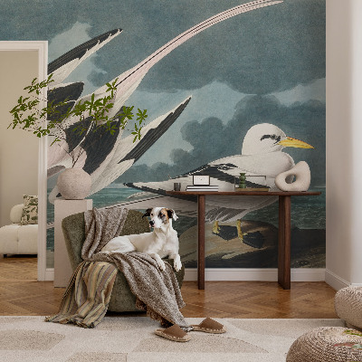 Vliesová fototapeta s potiskem Ptáci u moře
