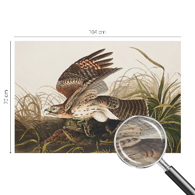 3D fototapeta Okřídlená kráska