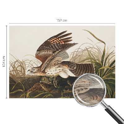 3D fototapeta Okřídlená kráska