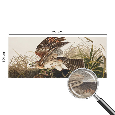 3D fototapeta Okřídlená kráska