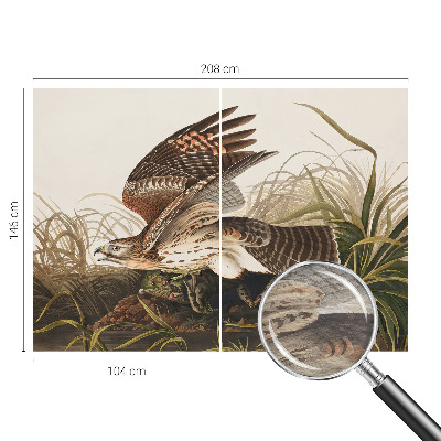 3D fototapeta Okřídlená kráska