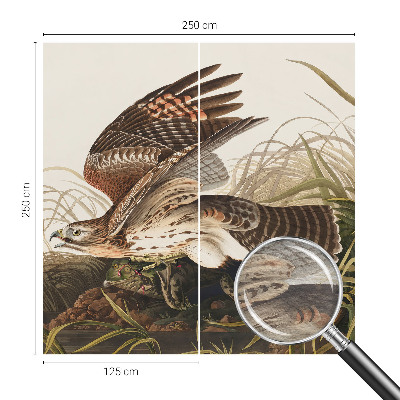 3D fototapeta Okřídlená kráska