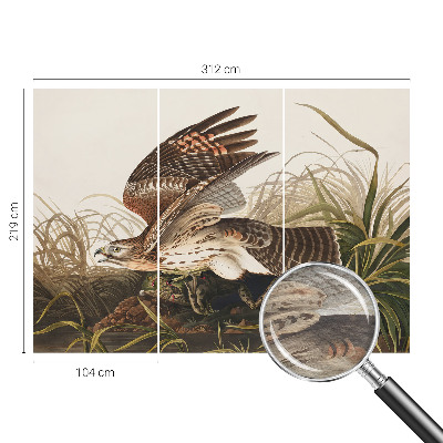 3D fototapeta Okřídlená kráska