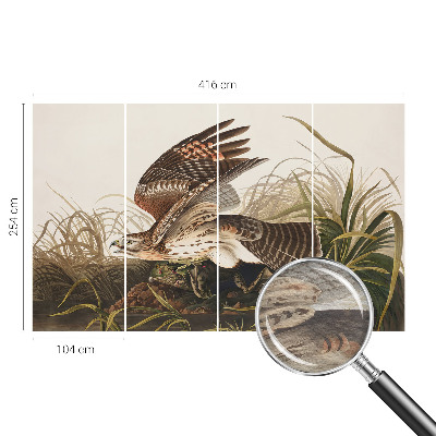 3D fototapeta Okřídlená kráska