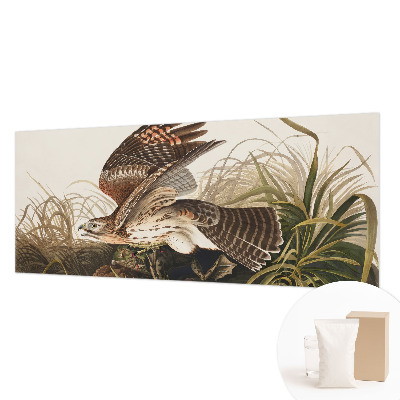 3D fototapeta Okřídlená kráska