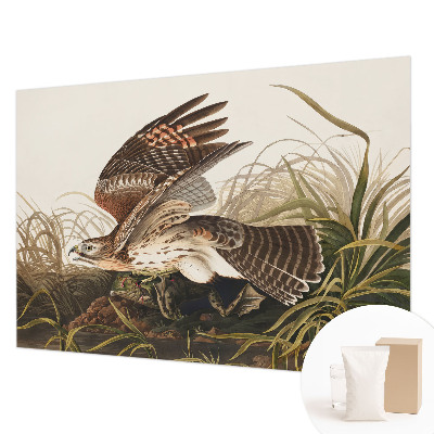 3D fototapeta Okřídlená kráska