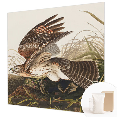 3D fototapeta Okřídlená kráska