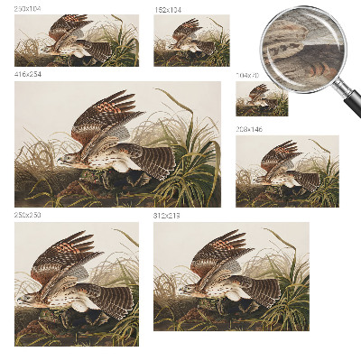 3D fototapeta Okřídlená kráska