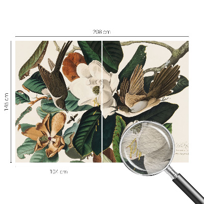 Fototapeta na stěnu Ptáci magnólie