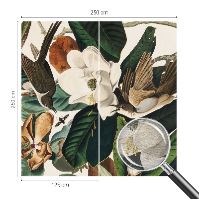 Fototapeta na stěnu Ptáci magnólie