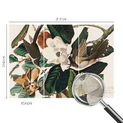 Fototapeta na stěnu Ptáci magnólie