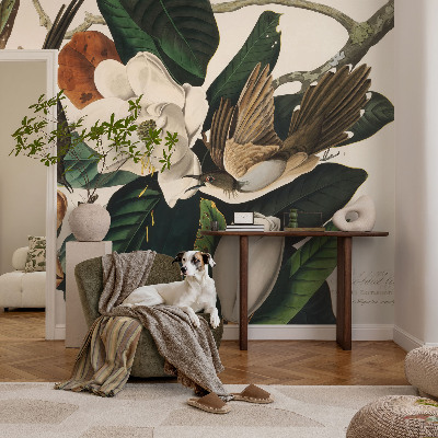 Fototapeta na stěnu Ptáci magnólie