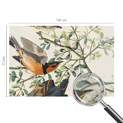 Vliesová fototapeta na zeď Barevní ptáci