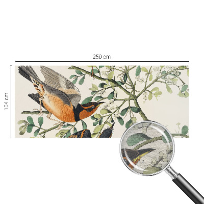 Vliesová fototapeta na zeď Barevní ptáci