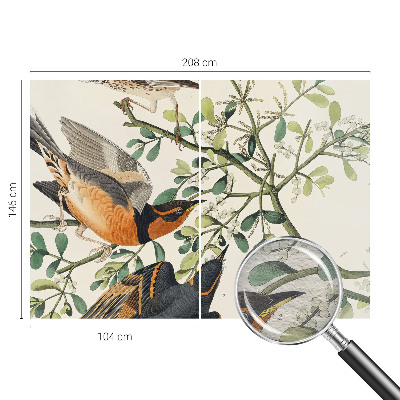 Vliesová fototapeta na zeď Barevní ptáci