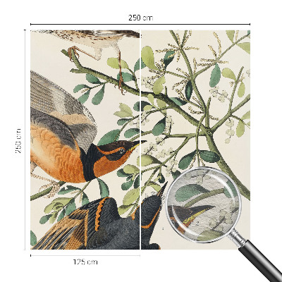 Vliesová fototapeta na zeď Barevní ptáci