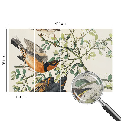 Vliesová fototapeta na zeď Barevní ptáci