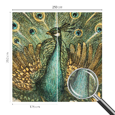 Fototapeta do obýváku Majestátní páv