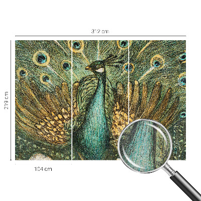 Fototapeta do obýváku Majestátní páv