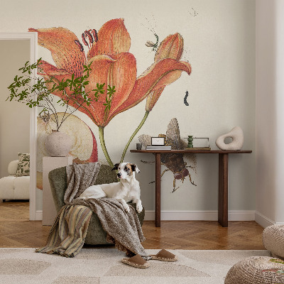 Dekorativní fototapeta na zeď Botanická ilustrace