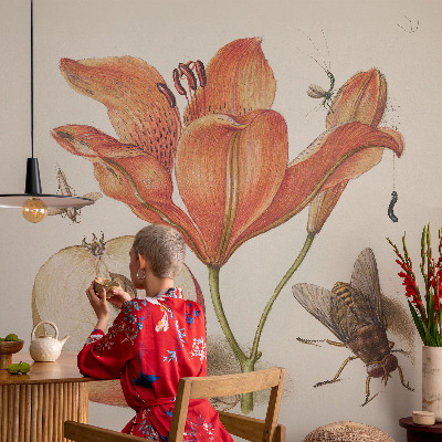 Dekorativní fototapeta na zeď Botanická ilustrace