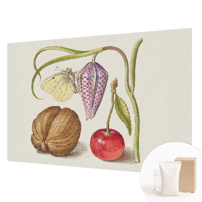 Fototapeta s potiskem na vliesu Motýlí rostlina