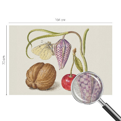 Fototapeta s potiskem na vliesu Motýlí rostlina