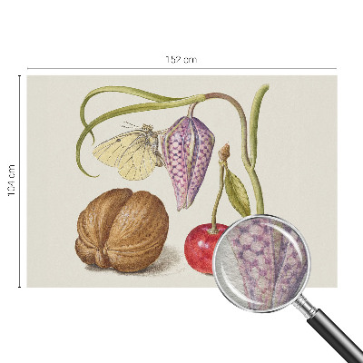 Fototapeta s potiskem na vliesu Motýlí rostlina