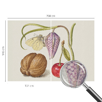 Fototapeta s potiskem na vliesu Motýlí rostlina