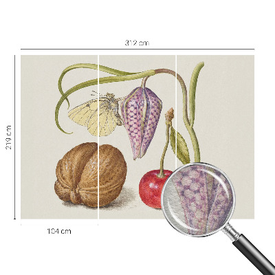 Fototapeta s potiskem na vliesu Motýlí rostlina