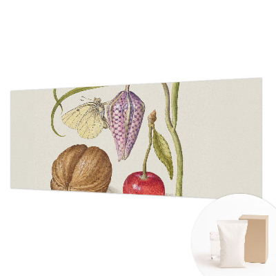 Fototapeta s potiskem na vliesu Motýlí rostlina