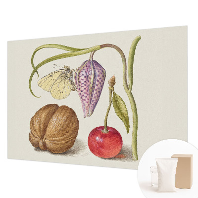 Fototapeta s potiskem na vliesu Motýlí rostlina