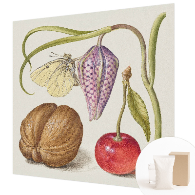 Fototapeta s potiskem na vliesu Motýlí rostlina