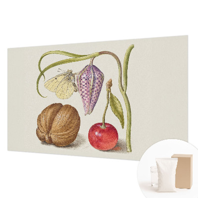 Fototapeta s potiskem na vliesu Motýlí rostlina