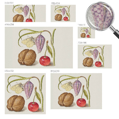 Fototapeta s potiskem na vliesu Motýlí rostlina