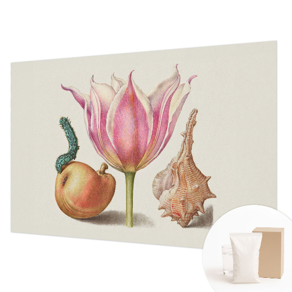 Fotografická tapeta na vliesu Přirozená symbióza