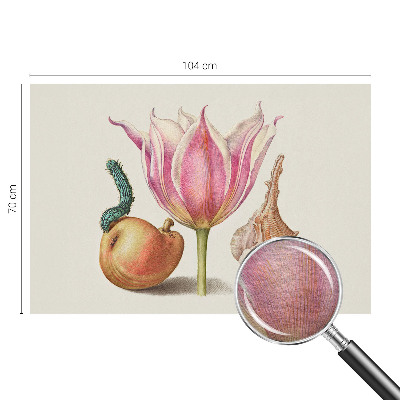 Fotografická tapeta na vliesu Přirozená symbióza