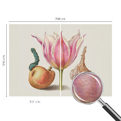 Fotografická tapeta na vliesu Přirozená symbióza