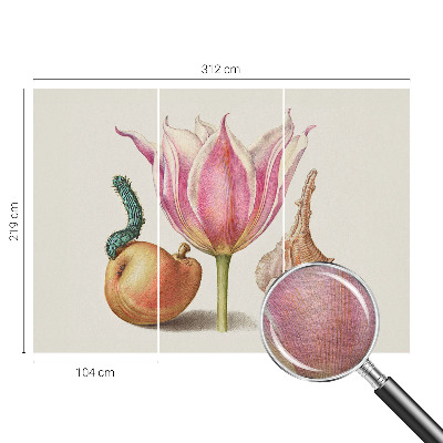 Fotografická tapeta na vliesu Přirozená symbióza