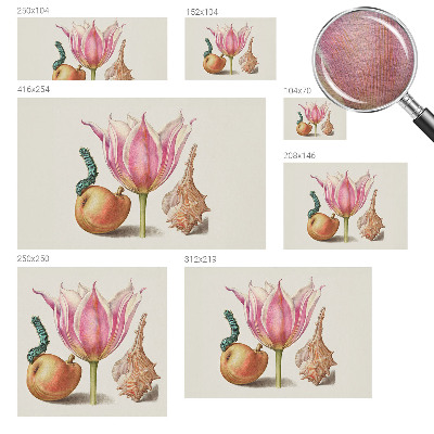 Fotografická tapeta na vliesu Přirozená symbióza