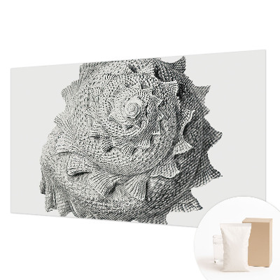 Vliesová fototapeta na zeď Umění přírody