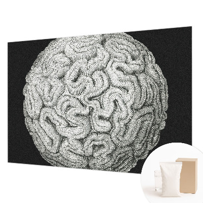 Fototapeta na stěnu Sférická struktura