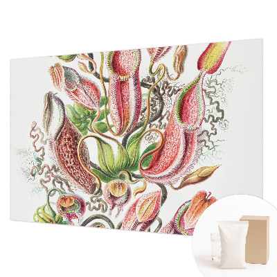 Fototapeta do obýváku Detaily rostliny